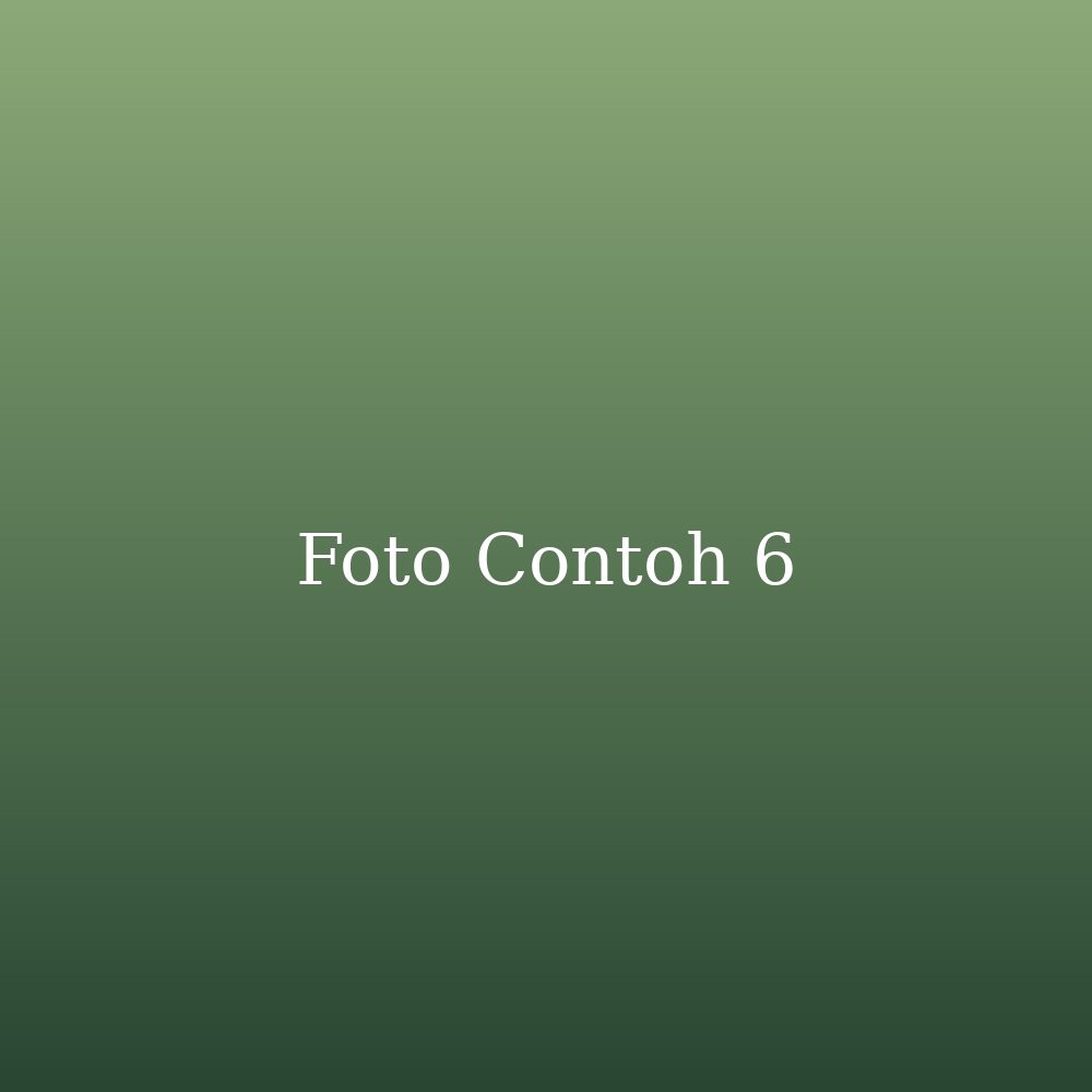 Foto galeri